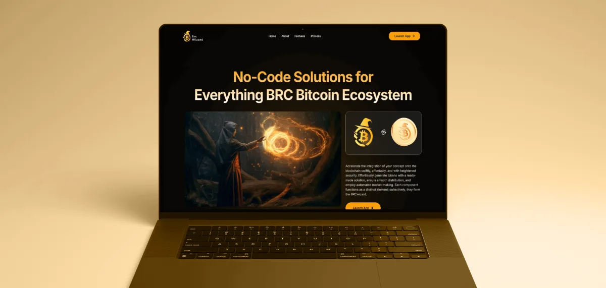 BRC Wizard project showcase