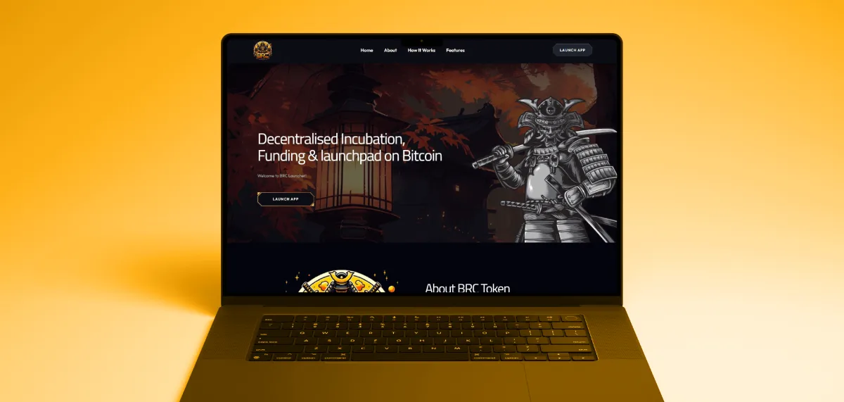 BRC Launchpad project showcase