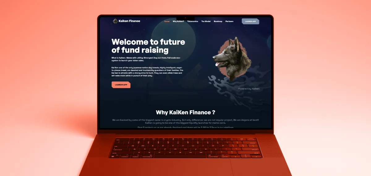Kaiken Finance project showcase